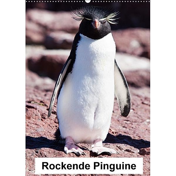 Rockende Pinguine (Wandkalender 2017 DIN A2 hoch), Sabine Reuke