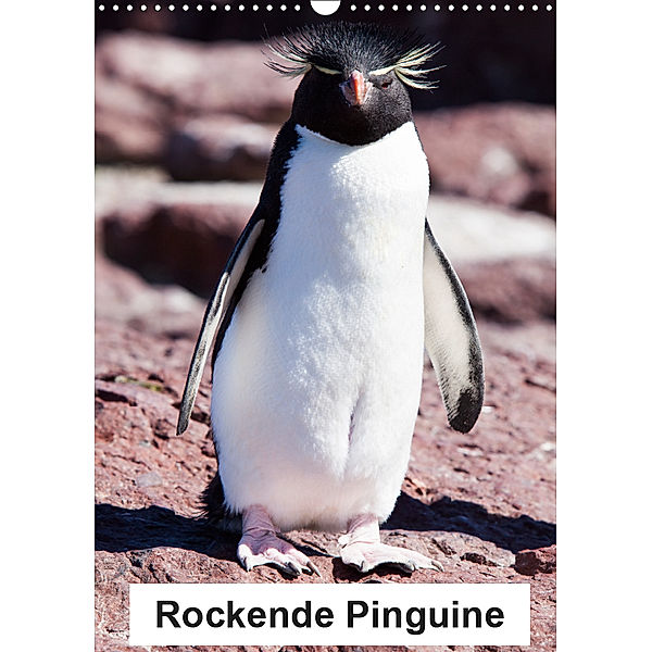 Rockende Pinguine (Wandkalender 2019 DIN A3 hoch), Sabine Reuke