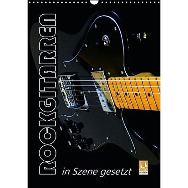 ROCKGITARREN in Szene gesetzt / Geburtstagskalender (Wandkalender 2015 DIN A3 hoch), Renate Bleicher