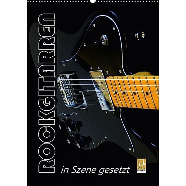 ROCKGITARREN in Szene gesetzt / Geburtstagskalender (Wandkalender 2017 DIN A2 hoch), Renate Bleicher