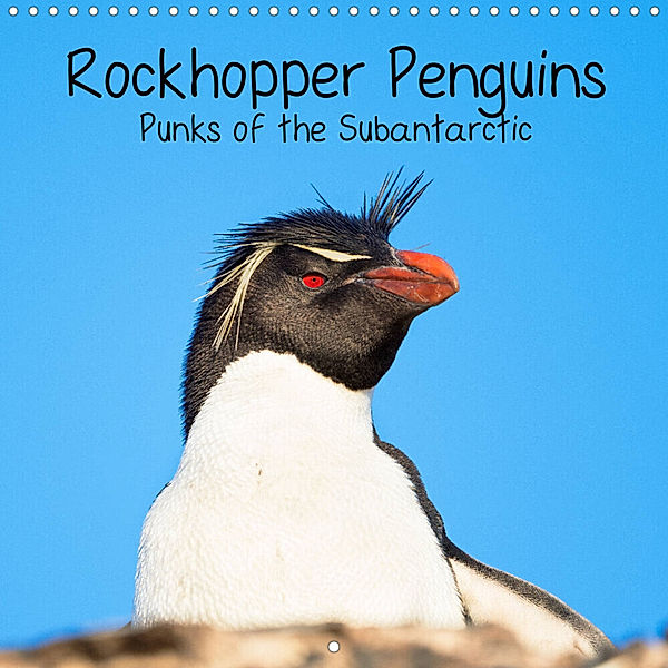 Rockhopper Penguins - Punks of the Subantarctic (Wall Calendar 2023 300 × 300 mm Square), Martin Zwick