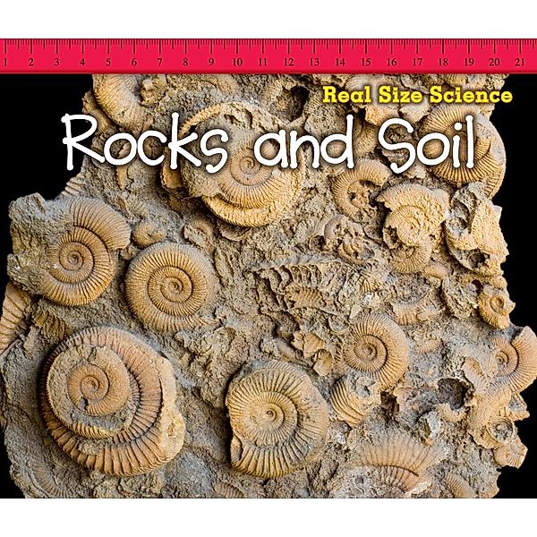 Rocks and Soil / Raintree Publishers, Rebecca Rissman