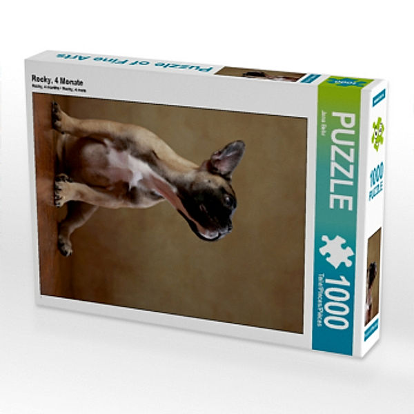 Rocky, 4 Monate (Puzzle), Jana Behr