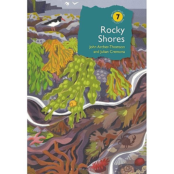 Rocky Shores, John Archer-Thomson, Julian Cremona