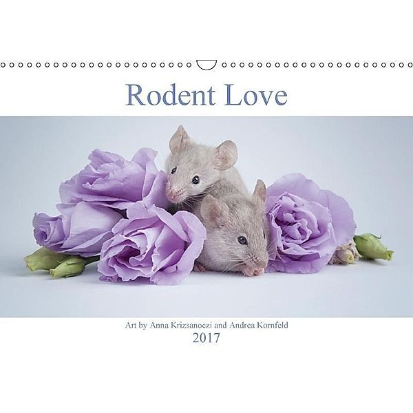 Rodent Love (Wall Calendar 2017 DIN A3 Landscape), Anna Krizsanoczi