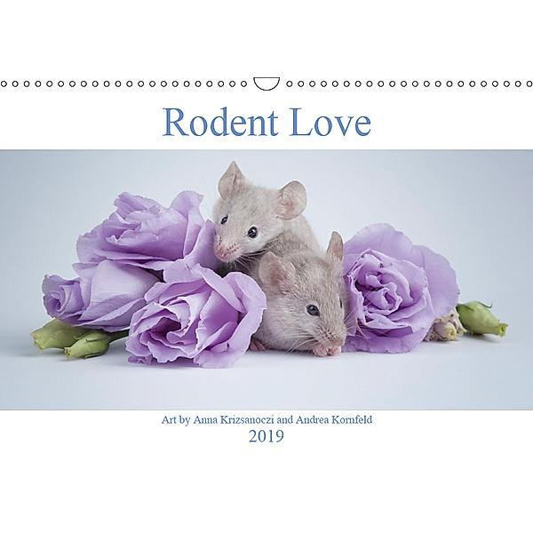Rodent Love (Wall Calendar 2019 DIN A3 Landscape), Anna Krizsanoczi