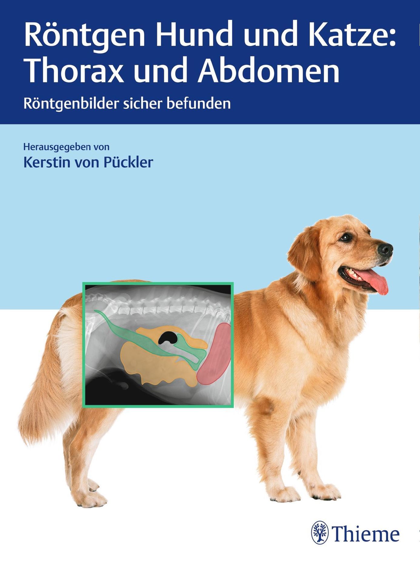 Röntgen Hund und Katze: Thorax und Abdomen Buch versandkostenfrei bei  Weltbild.de bestellen