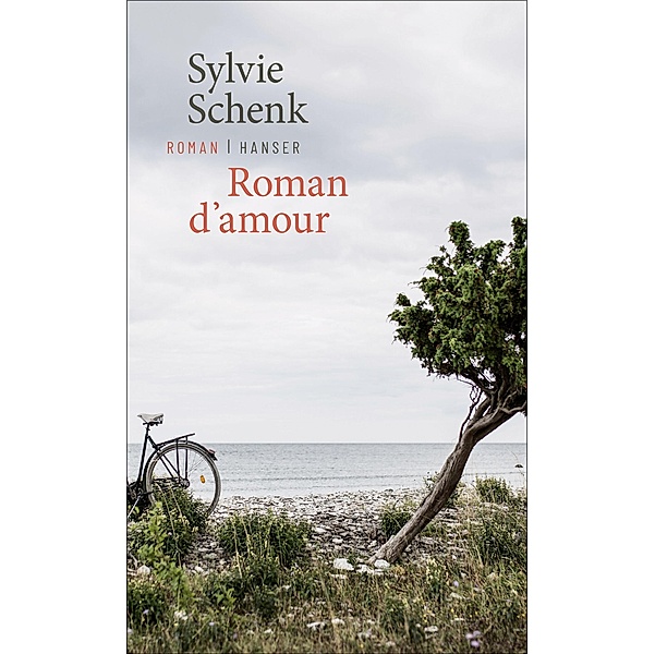 Roman d'amour, Sylvie Schenk