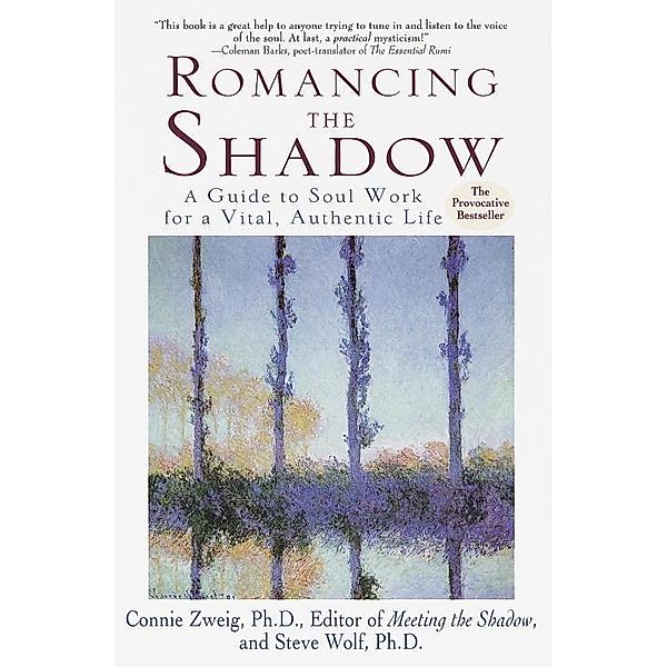 Romancing the Shadow, Connie Zweig, Steven Wolf