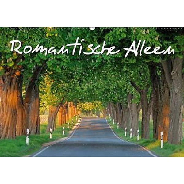 Romantische Alleen (Wandkalender 2016 DIN A2 quer), Calvendo