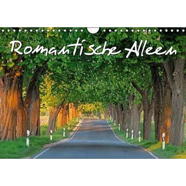 Romantische Alleen (Wandkalender 2016 DIN A4 quer), Calvendo
