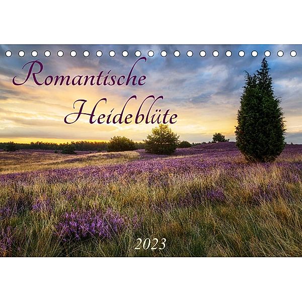Romantische Heideblüte (Tischkalender 2023 DIN A5 quer), Daniela Beyer (Moqui)