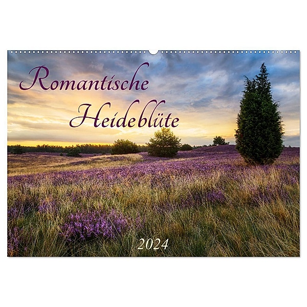Romantische Heideblüte (Wandkalender 2024 DIN A2 quer), CALVENDO Monatskalender, Daniela Beyer (Moqui)
