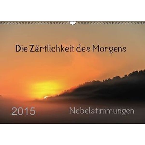 Romantische Nebelstimmungen (Wandkalender 2015 DIN A3 quer), Anette Damm