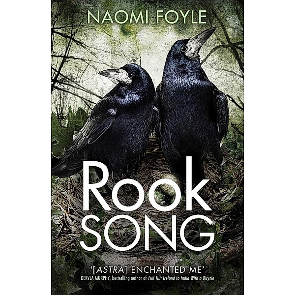 Rook Song / The Gaia Chronicles Bd.2, Naomi Foyle