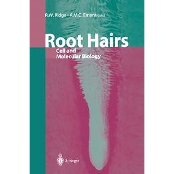 Root Hairs