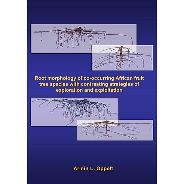 Root morphology of co-occurring African fruit tree species with contrasting strategies of exploration and exploitation