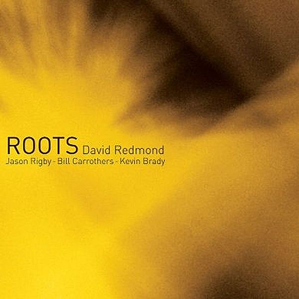 Roots, David Redmond