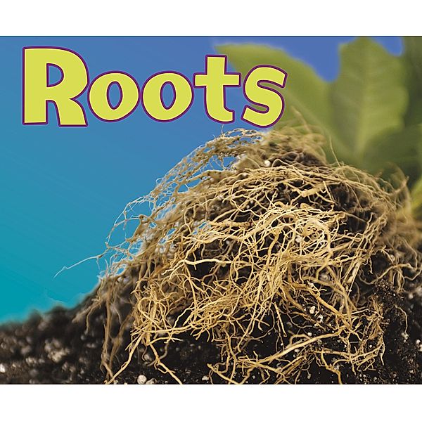 Roots / Raintree Publishers, Vijaya Khisty Bodach