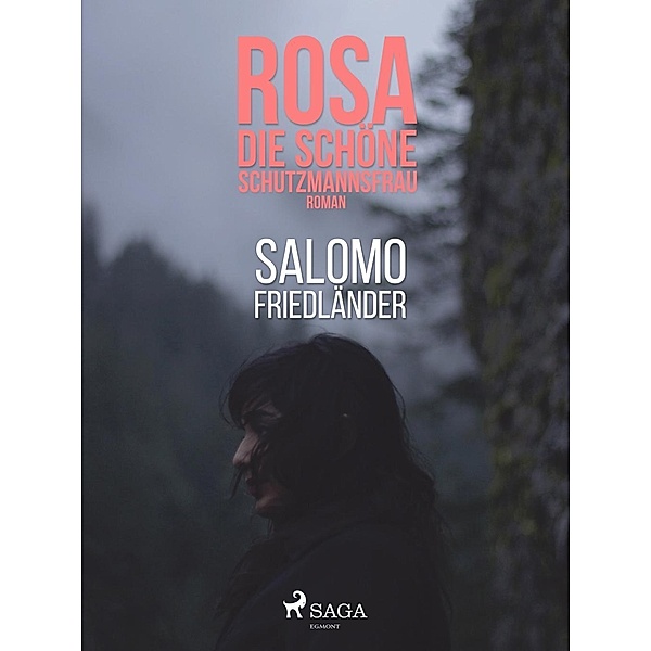 Rosa, die schöne Schutzmannsfrau, Salomo Friedländer