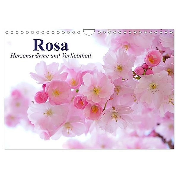 Rosa. Herzenswärme und Verliebtheit (Wandkalender 2024 DIN A4 quer), CALVENDO Monatskalender, Elisabeth Stanzer