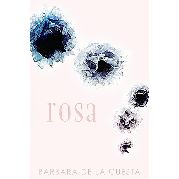Rosa (The Driftless Unsolicited Novella Series) / The Driftless Unsolicited Novella Series, Barbara De La Cuesta