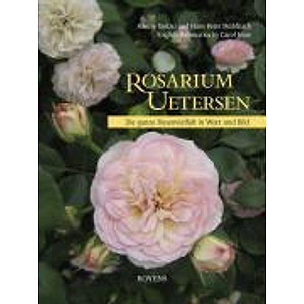 Rosarium Uetersen, Hanny Tantau, Hans P Mühlbach