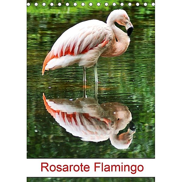Rosarote Flamingo (Tischkalender 2020 DIN A5 hoch)