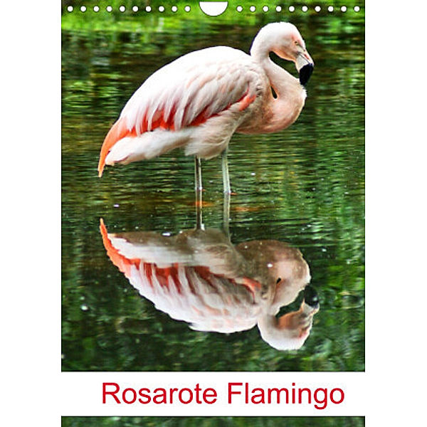 Rosarote Flamingo (Wandkalender 2022 DIN A4 hoch), Kattobello