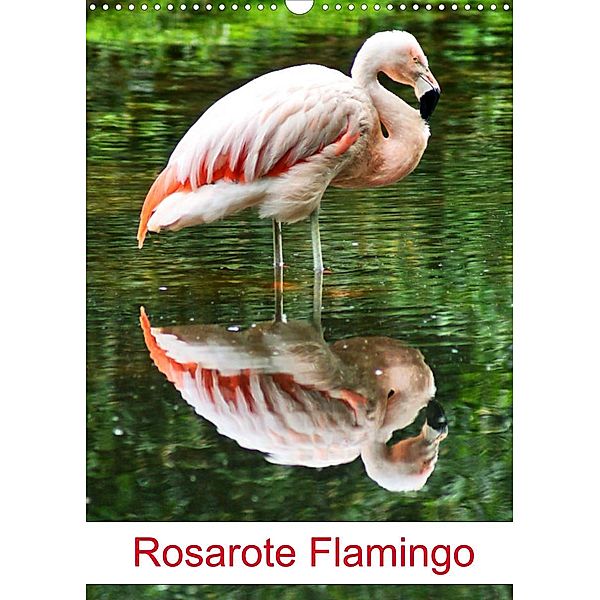 Rosarote Flamingo (Wandkalender 2023 DIN A3 hoch), Kattobello