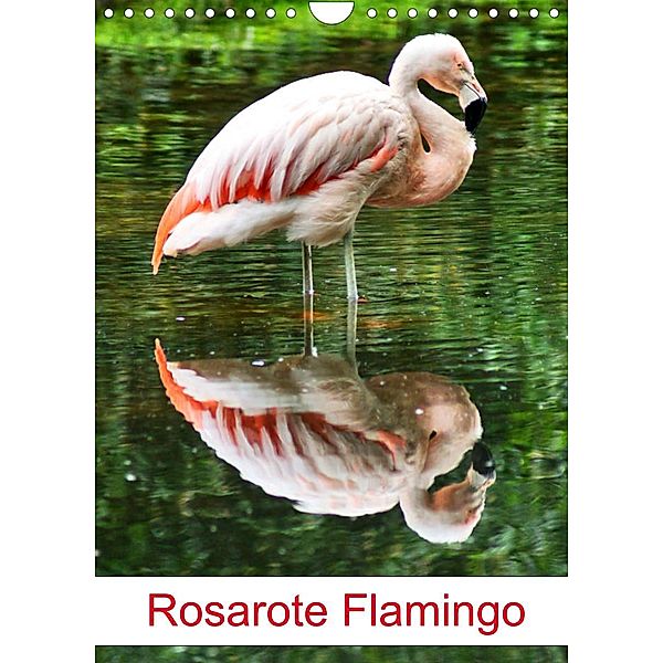 Rosarote Flamingo (Wandkalender 2023 DIN A4 hoch), Kattobello