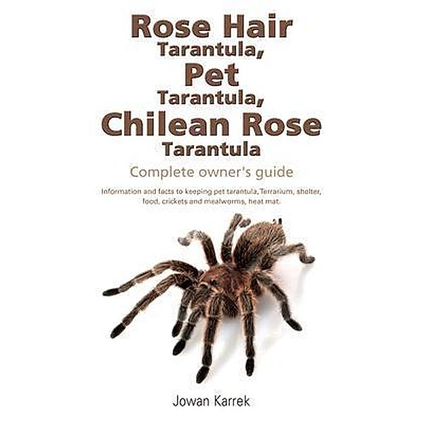 Rose Hair Tarantula, Pet Tarantula, Chilean Rose Tarantula, Jowan Karrek