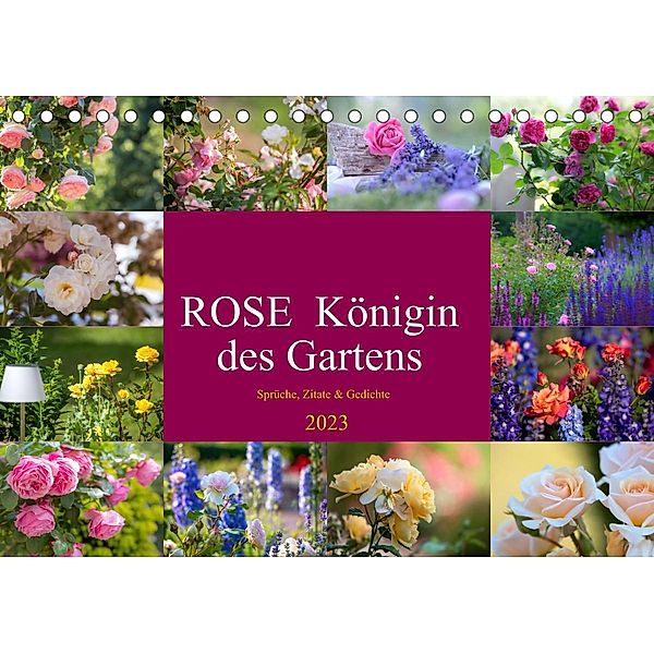 Rose Königin des Gartens (Tischkalender 2023 DIN A5 quer), Tanja Riedel
