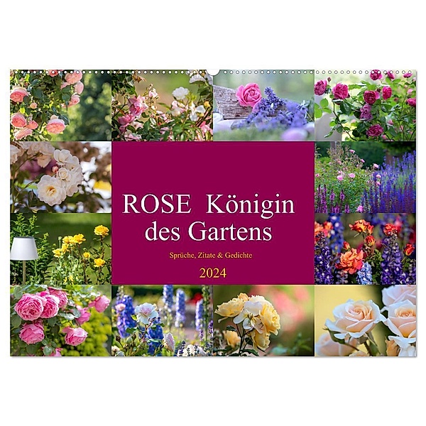 Rose Königin des Gartens (Wandkalender 2024 DIN A2 quer), CALVENDO Monatskalender, Tanja Riedel