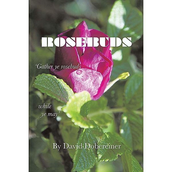 Rosebuds, David Dobereiner