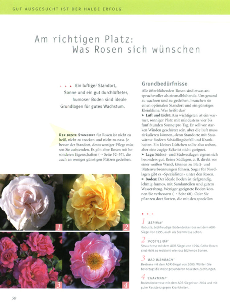 Rosen Buch von Heide Rau versandkostenfrei bei Weltbild.de bestellen