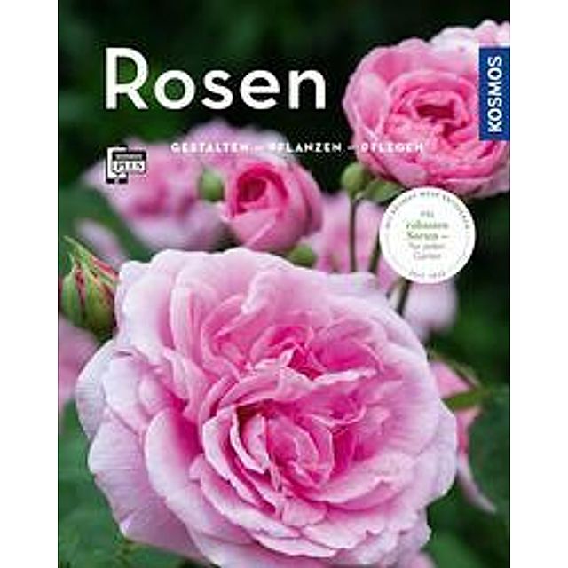 Rosen Buch von Thomas Proll versandkostenfrei bei Weltbild.de bestellen