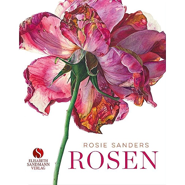 Rosen, Rosie Sanders