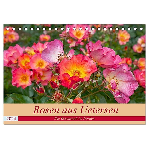 Rosen aus Uetersen (Tischkalender 2024 DIN A5 quer), CALVENDO Monatskalender, Carmen Steiner / Matthias Konrad