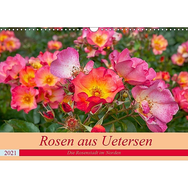 Rosen aus Uetersen (Wandkalender 2021 DIN A3 quer), Carmen Steiner / Matthias Konrad