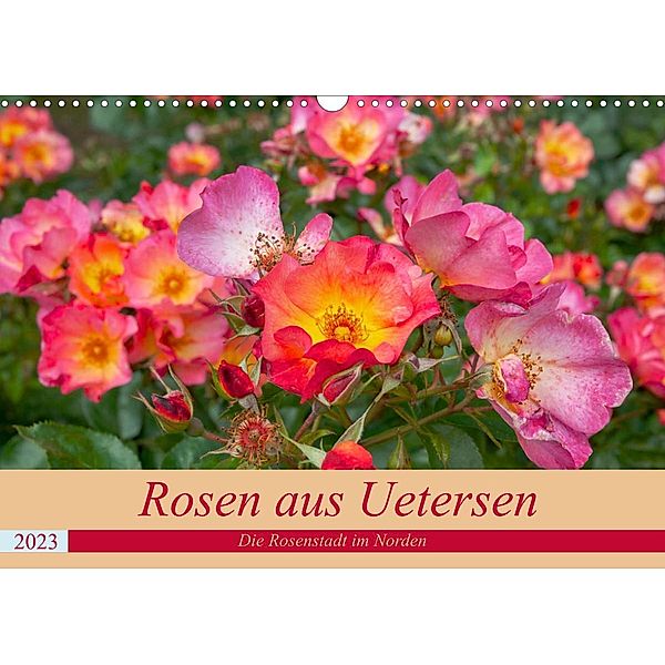 Rosen aus Uetersen (Wandkalender 2023 DIN A3 quer), Carmen Steiner / Matthias Konrad
