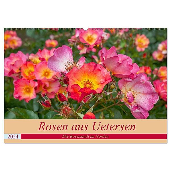 Rosen aus Uetersen (Wandkalender 2024 DIN A2 quer), CALVENDO Monatskalender, Carmen Steiner / Matthias Konrad