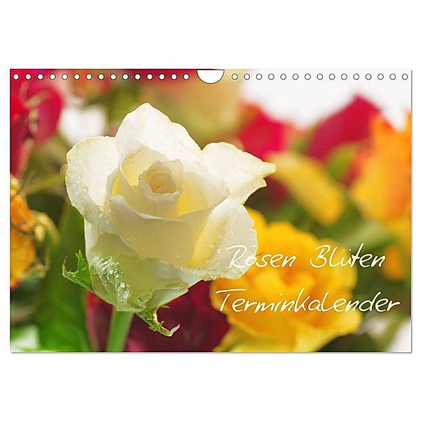 Rosen Blüten Terminkalender (Wandkalender 2025 DIN A4 quer), CALVENDO Monatskalender, Calvendo, Tanja Riedel