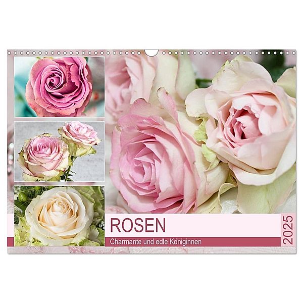 Rosen. Charmante und edle Königinnen (Wandkalender 2025 DIN A3 quer), CALVENDO Monatskalender, Calvendo, Rose Hurley