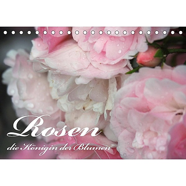 Rosen, die Königin der Blumen (Tischkalender 2023 DIN A5 quer), VogtArt