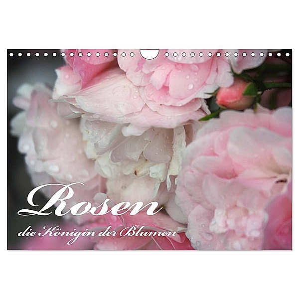 Rosen, die Königin der Blumen (Wandkalender 2024 DIN A4 quer), CALVENDO Monatskalender, VogtArt