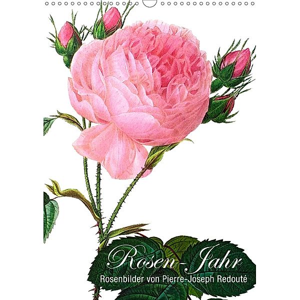 Rosen-Jahr (Wandkalender 2021 DIN A3 hoch), Babette Reek