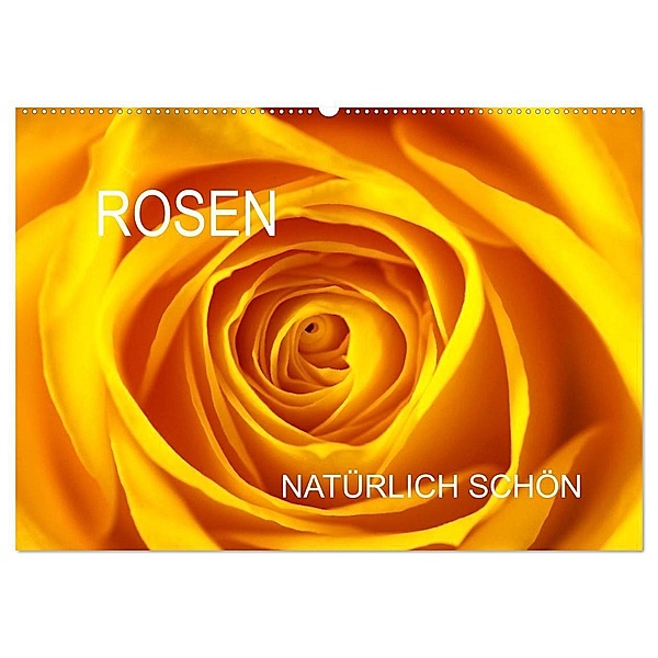 Rosen natürlich schön (Wandkalender 2024 DIN A2 quer), CALVENDO Monatskalender, Anette/Thomas Jäger
