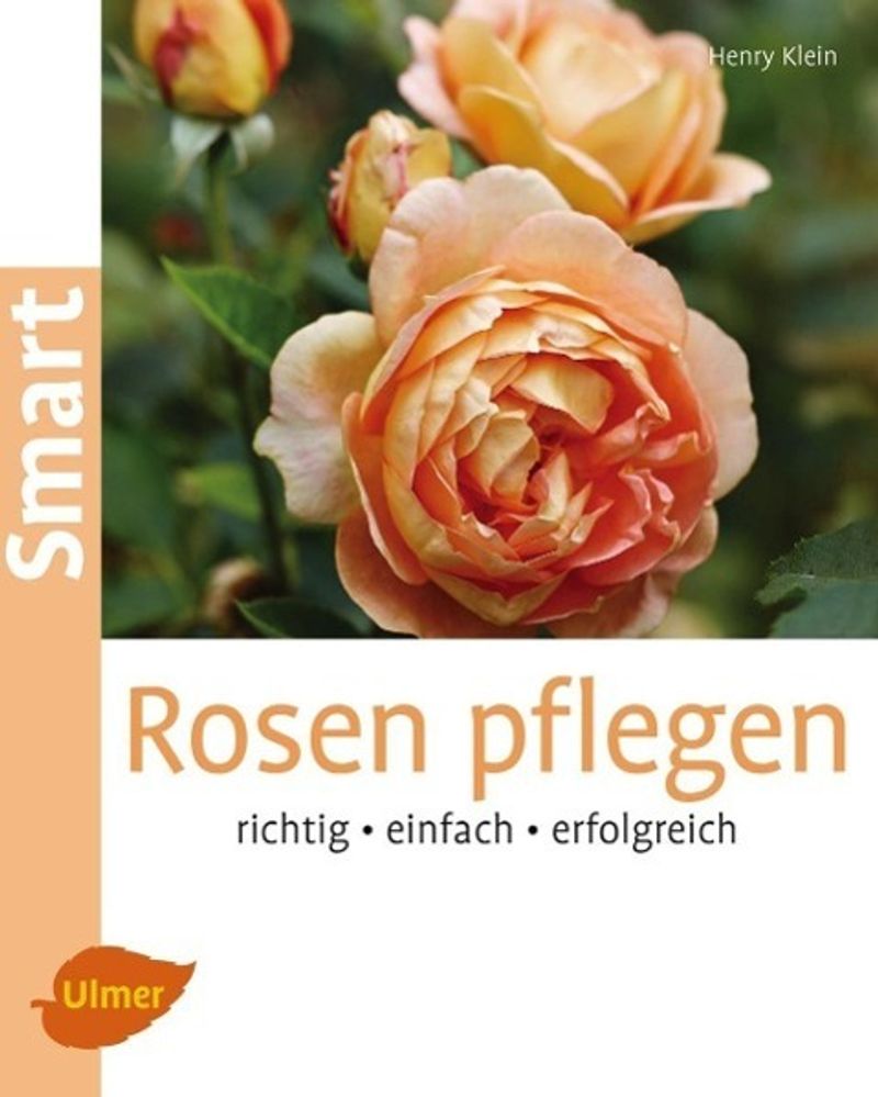 Rosen pflegen Buch von Henry Klein versandkostenfrei bei Weltbild.de