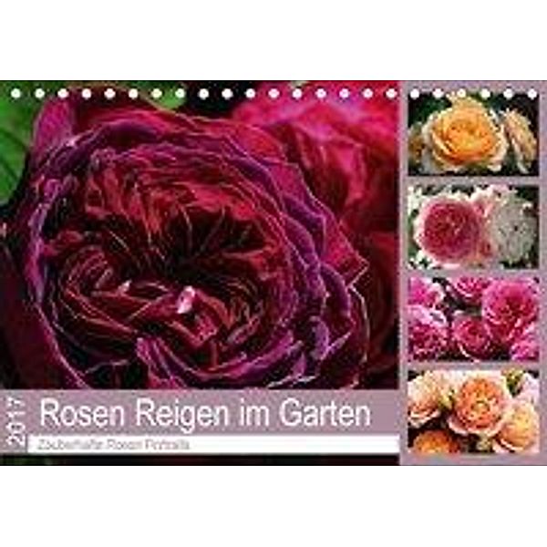 Rosen Reigen im Garten (Tischkalender 2017 DIN A5 quer), Martina Cross